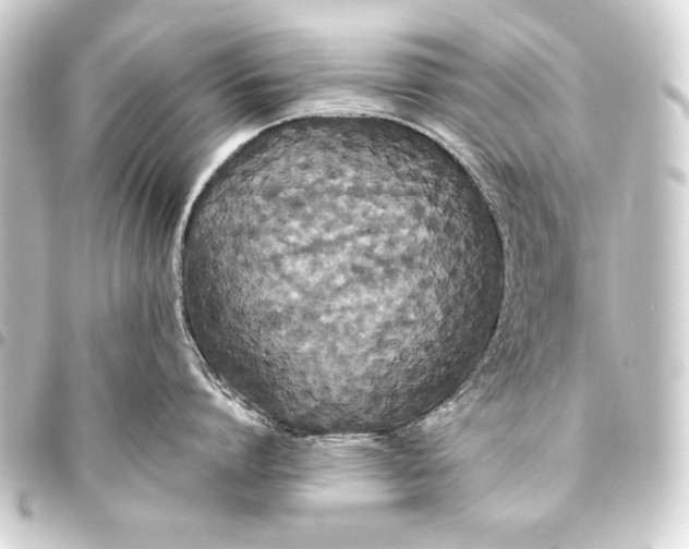 X0000093450864200711021113