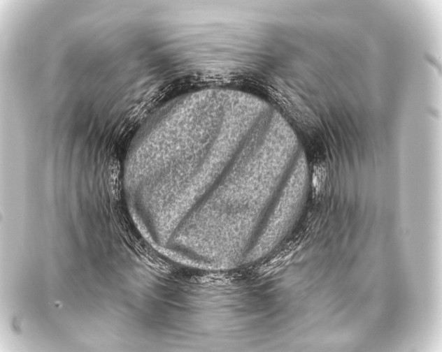 X0000093450867200711021112