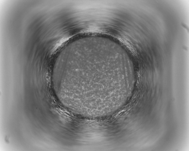 X0000093450872200711021112