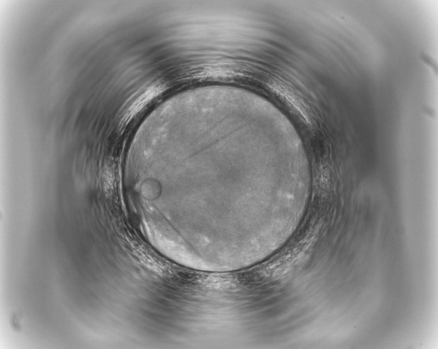 X0000093450874200711021112