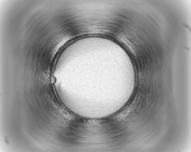 X0000093450875200711021112