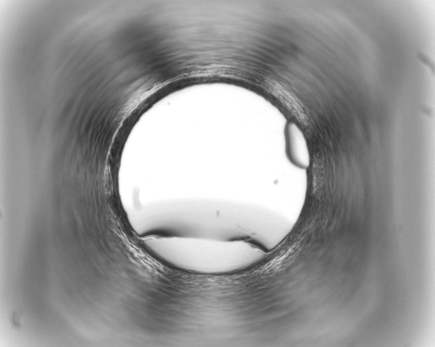 X0000093450876200711021112