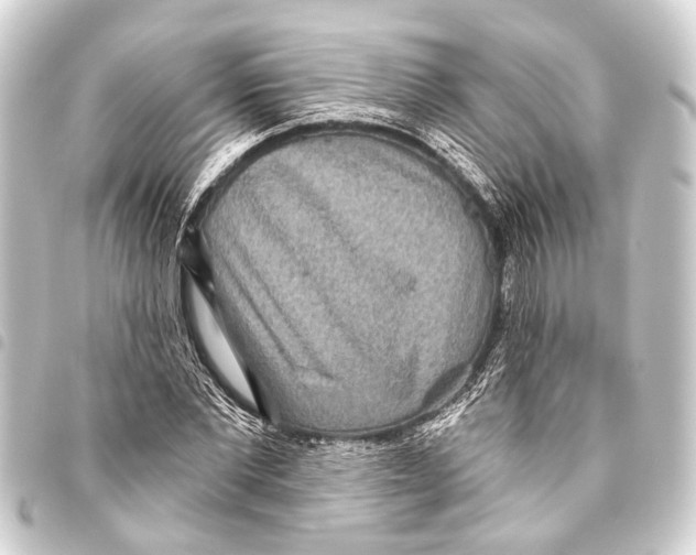 X0000093450877200711021112