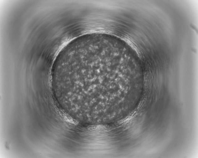 X0000093450879200711021112