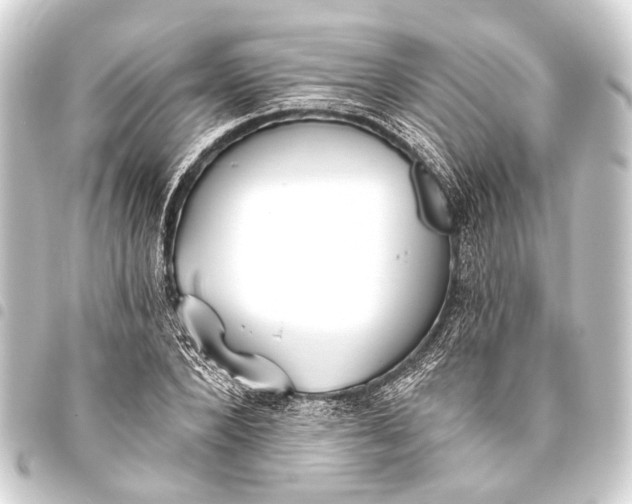 X0000093450880200711021112