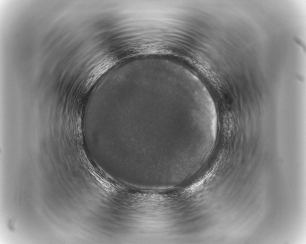 X0000093450881200711021112