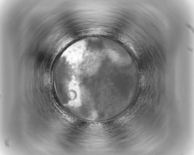 X0000093450882200711021112