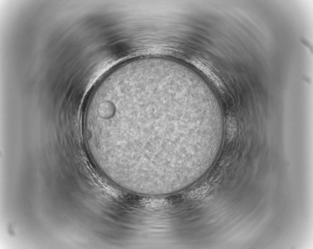 X0000093450886200711021112