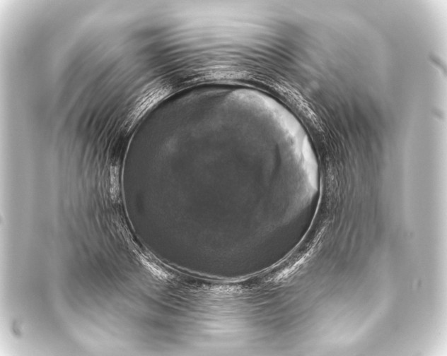 X0000093450889200711021112