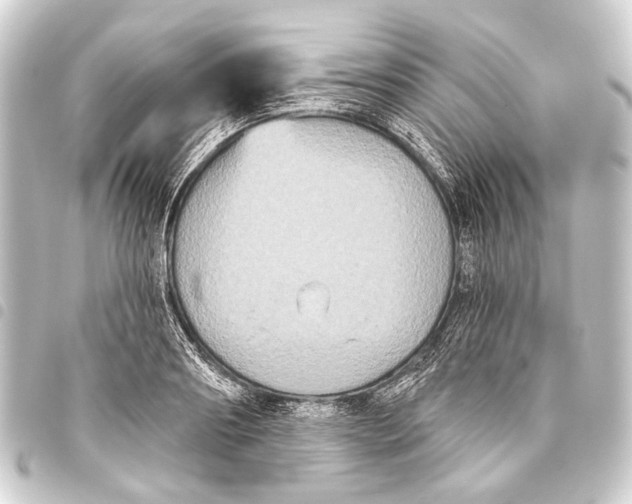 X0000093450890200711021112