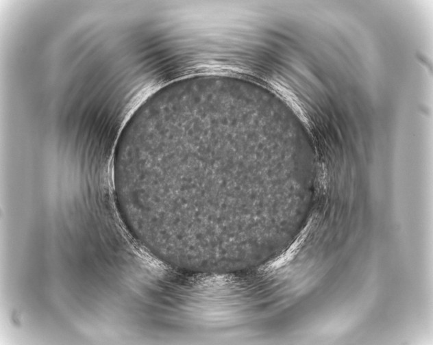 X0000093450891200711021112