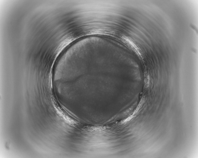 X0000093450892200711021112