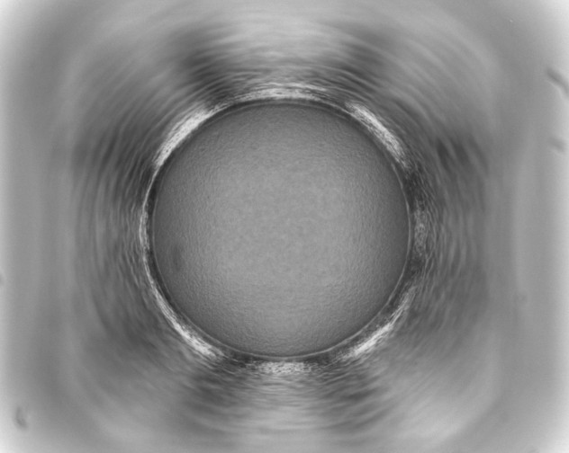 X0000093450893200711021112