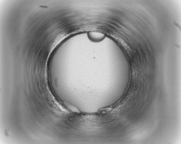 X0000093450894200711021112