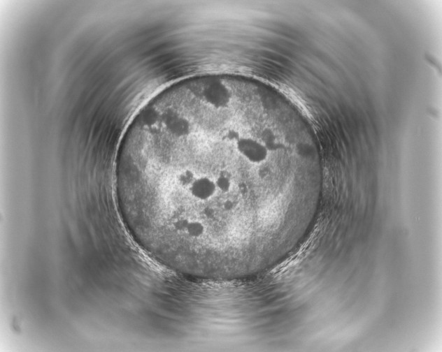 X0000093450895200711021112