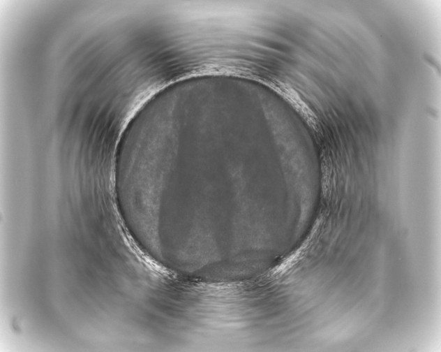 X0000093450896200711021112