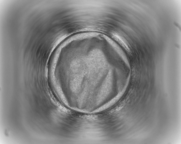 X0000093450900200711021112