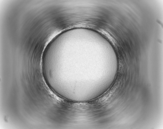 X0000093450902200711021112