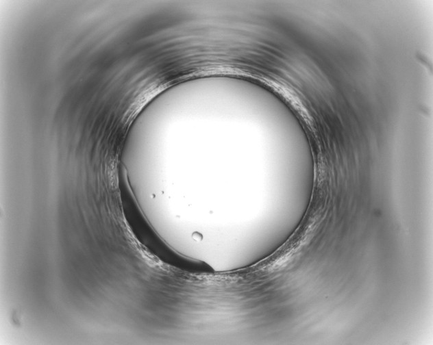 X0000093450905200711021112