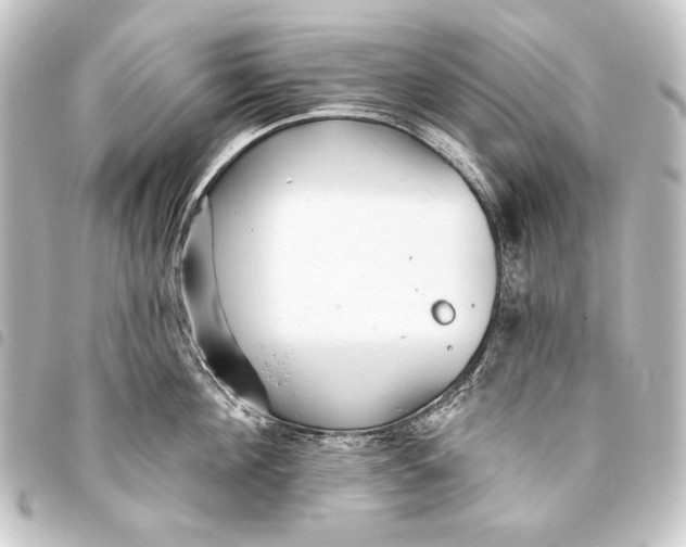 X0000093450908200711021112