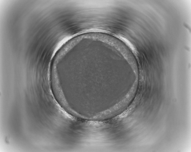 X0000093450910200711021111