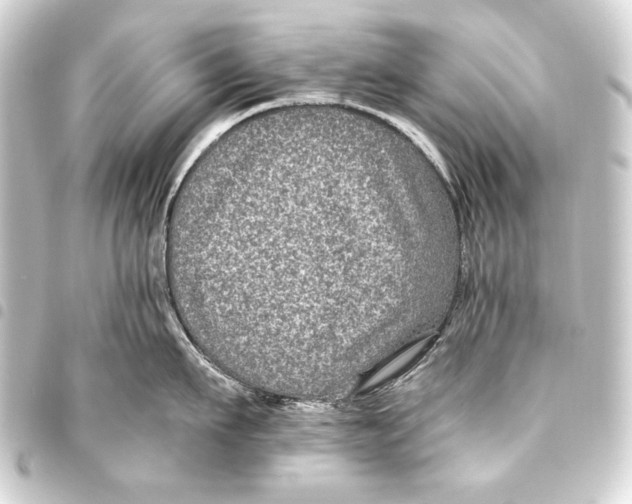 X0000093450911200711021111