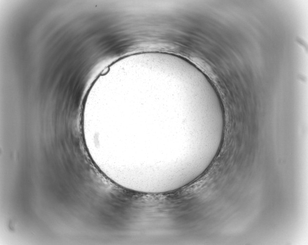 X0000093450912200711021111