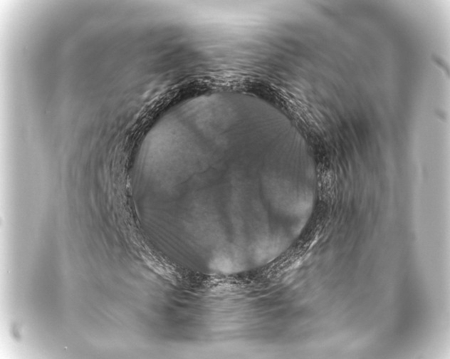 X0000093450913200711021111