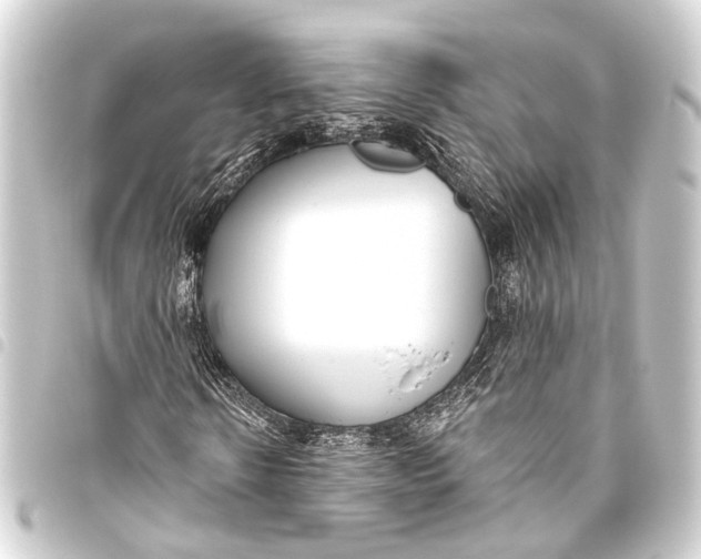 X0000093450914200711021111