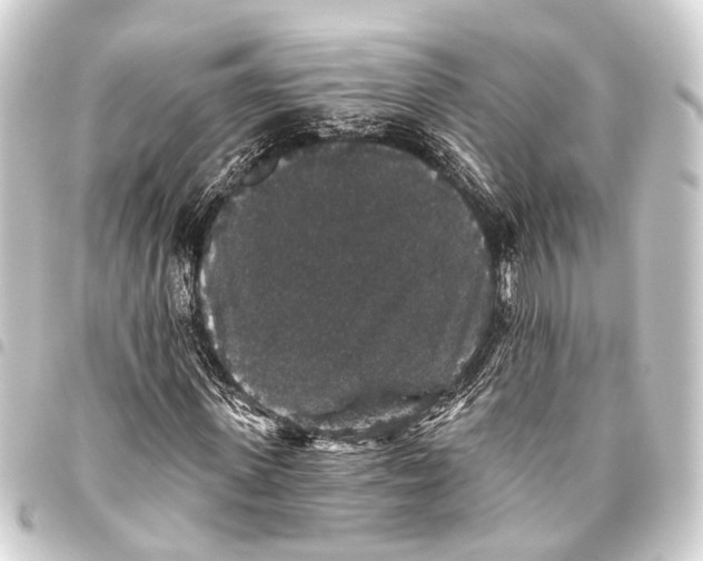 X0000093450915200711021111