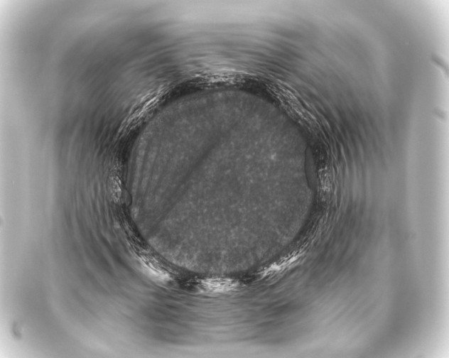 X0000093450916200711021111