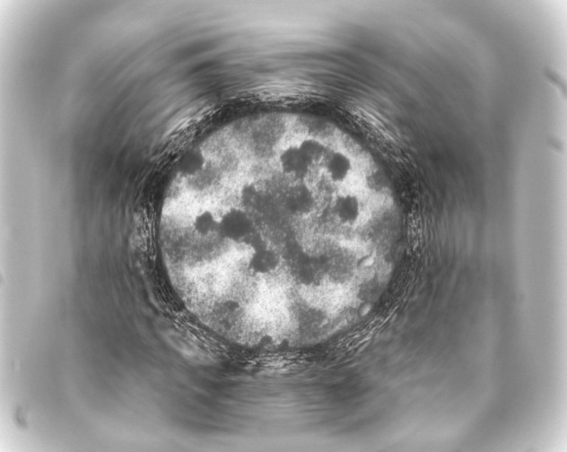 X0000093450917200711021111