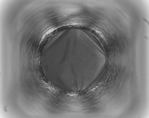 X0000093450920200711021111