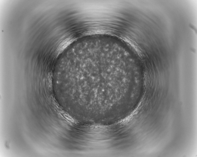 X0000093450921200711021111