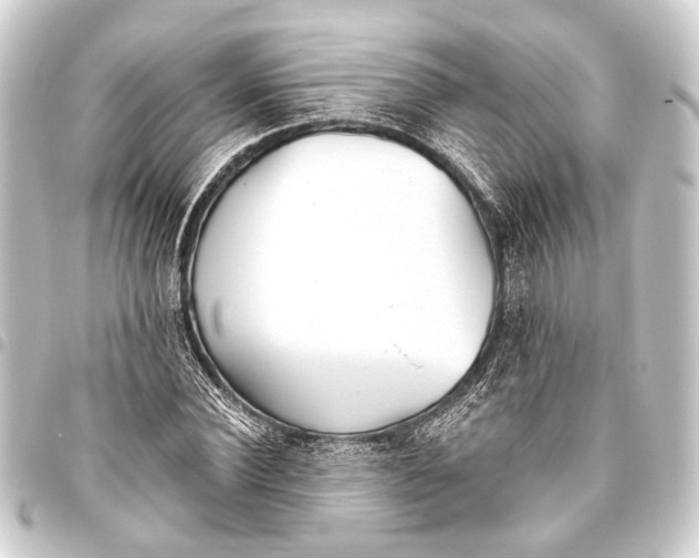 X0000093450924200711021111