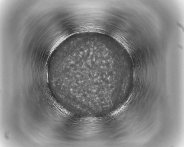 X0000093450925200711021111