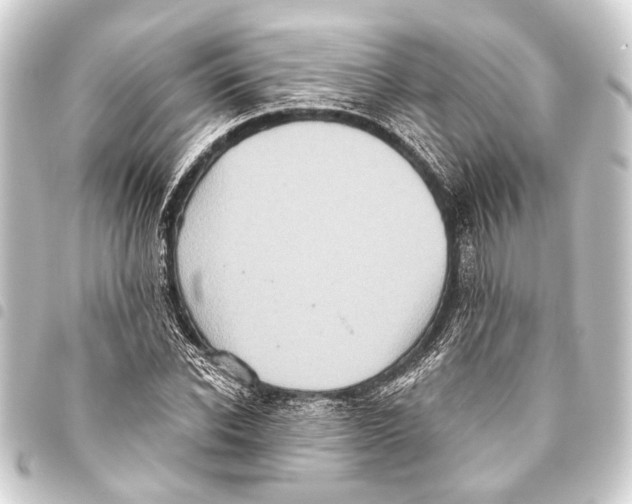 X0000093450926200711021111