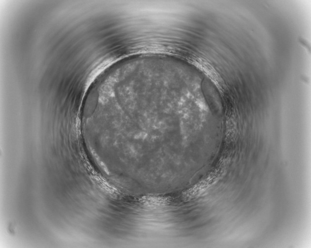 X0000093450928200711021111