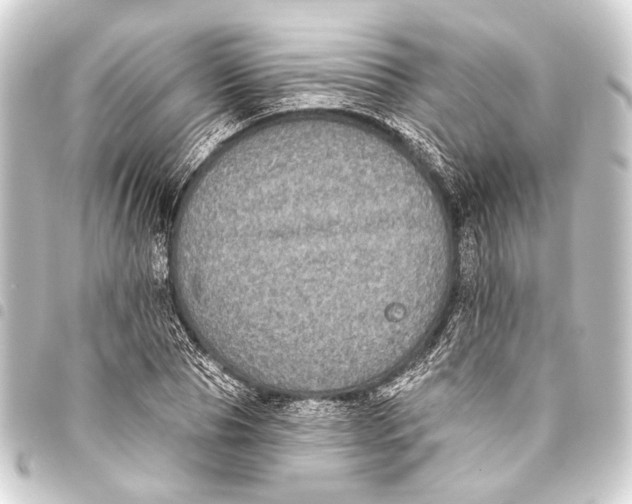 X0000093450929200711021111