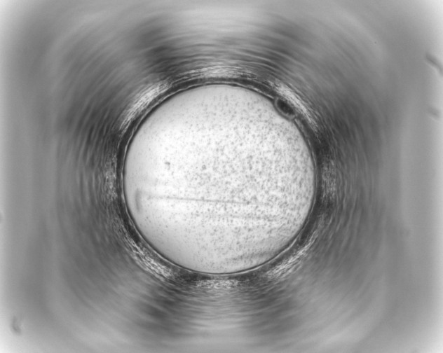 X0000093450930200711021111