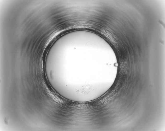 X0000093450934200711021111