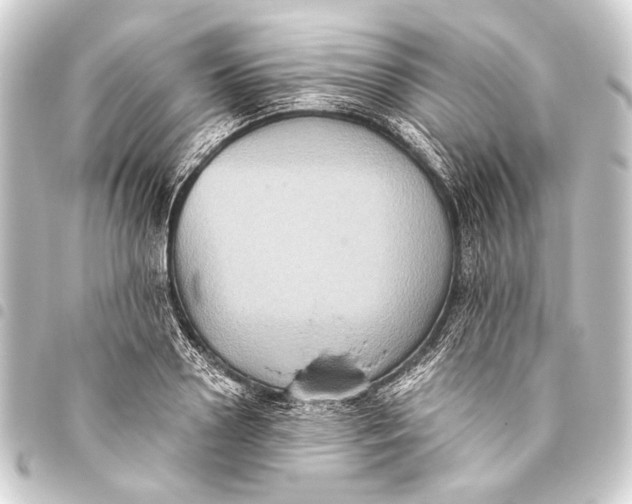 X0000093450938200711021111