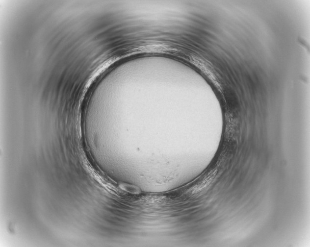 X0000093450939200711021111