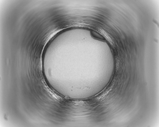 X0000093450940200711021111