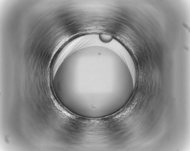 X0000093450941200711021111