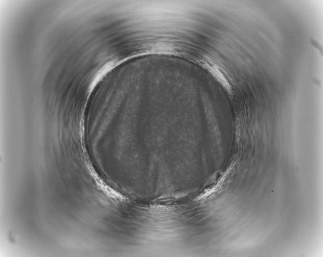 X0000093450944200711021111