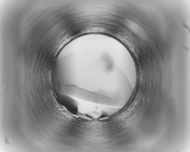 X0000093450945200711021111