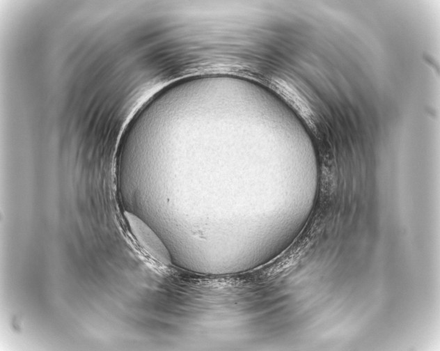 X0000093450948200711021111