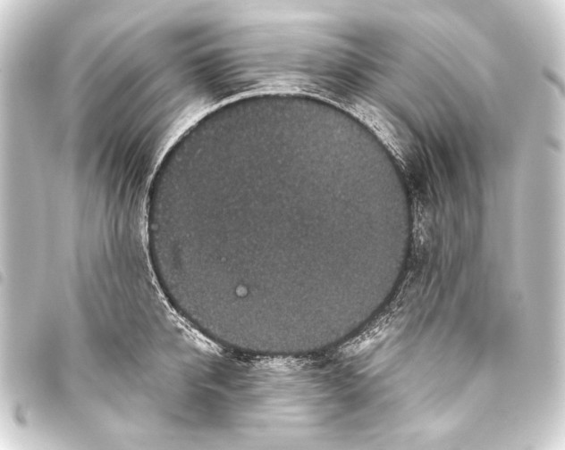 X0000093450950200711021111