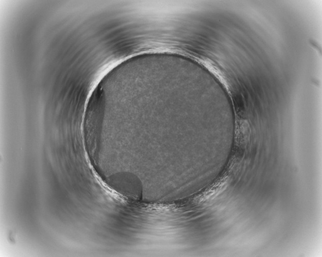 X0000093450951200711021111